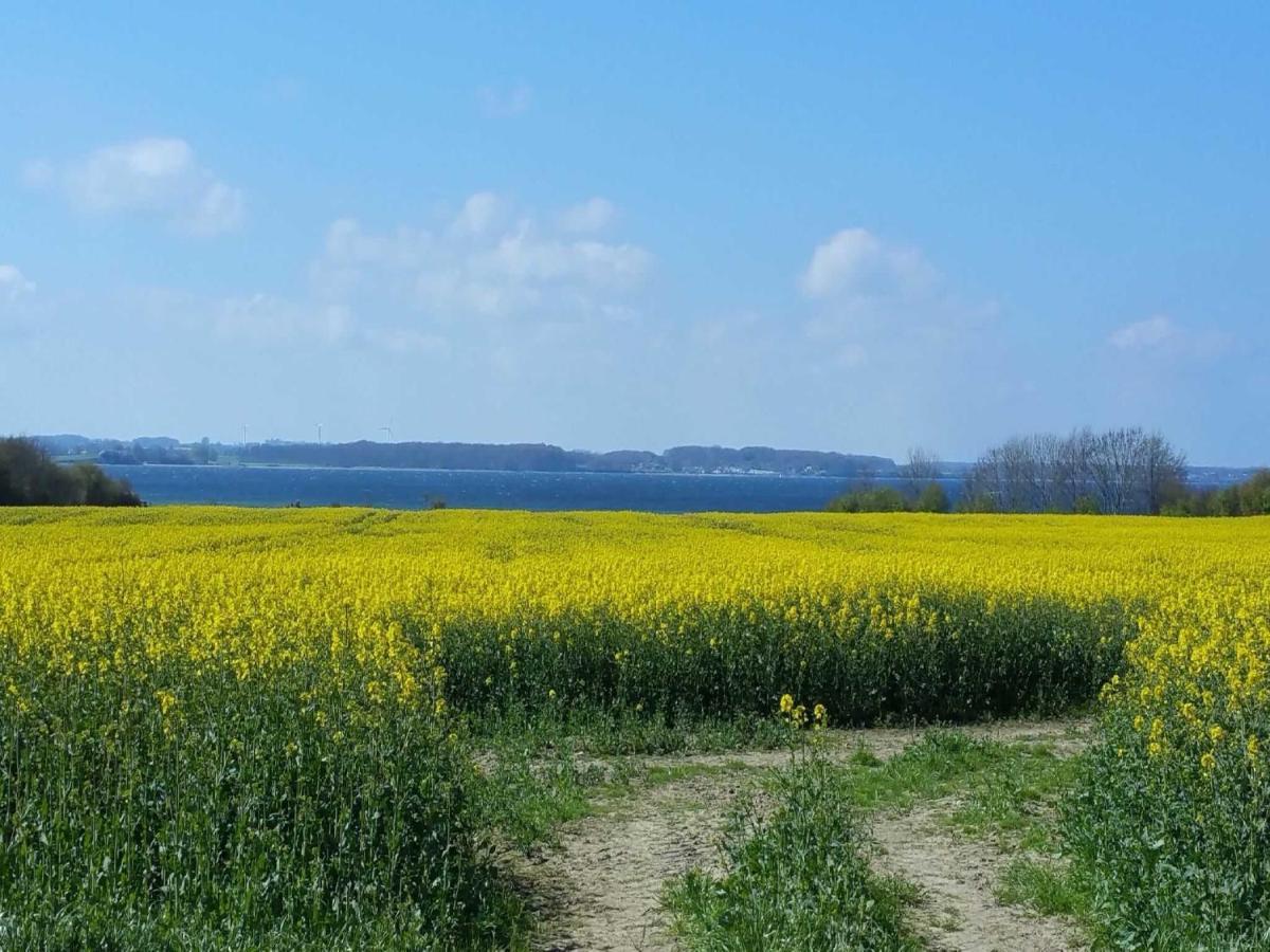 Ferienhaus Extrazeit_Urlaub Hasselberg  Zewnętrze zdjęcie